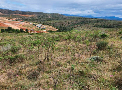 0 Bedroom Property for Sale in Outeniquasbosch Western Cape